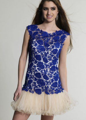 Sheath Jewel Neckline Lace Tulle Hole Back Knee Length Prom Dress Sheath Jewel Neckline Lace Tulle Hole Back Knee Length Prom Dress